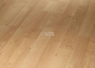 Parador Basic Plus 200 1426411 Клён Натуральный фото 1 | FLOORDEALER